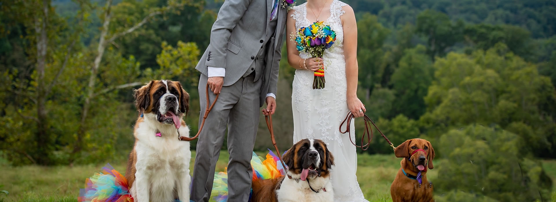 Book Your Wedding With Us!